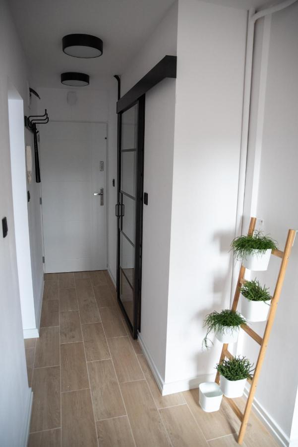 Apartment Loft